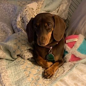 Meet your Posher, Kelli